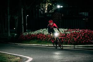 BIB: 
                            <button type="button" onclick="openModal(26182311)" class="btn btn-primary btn-sm float-right btn-popup" data-toggle="modal" data-target=".modal-high-quality">
                        <i class="fas fa-shopping-cart"></i> Add to Cart
                    </button>
                                            <button type="button" onclick="isThisMe(26182311, true)" class="btn btn-success btn-sm float-right btn-popup btn-isme hidden" data-toggle="tooltip" data-placement="bottom" title="นี่คือรูปของคุณใช่ไหม คลิกที่นี่เพื่อเอาเข้าอัลบั้ม">
                        <i class="fas fa-plus"></i> Add to album
                    </button>
                    <button type="button" onclick="isThisMe(26182311, false)" class="btn btn-warning btn-sm float-right btn-popup btn-isnotme hidden">
                        <i class="fas fa-ban"></i> Remove from album
                    </button>